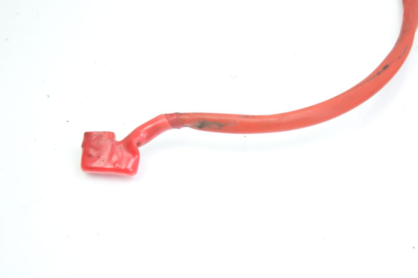 photo de WIRING HARNESS PEUGEOT TWEET 4T 50 (2010 - 2014)