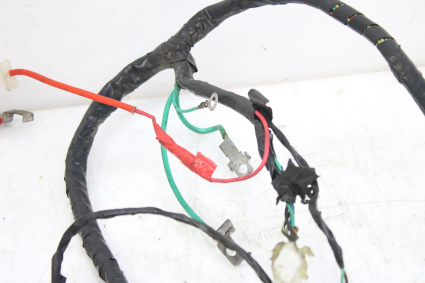 photo de WIRING HARNESS PEUGEOT TWEET 4T 50 (2010 - 2014)