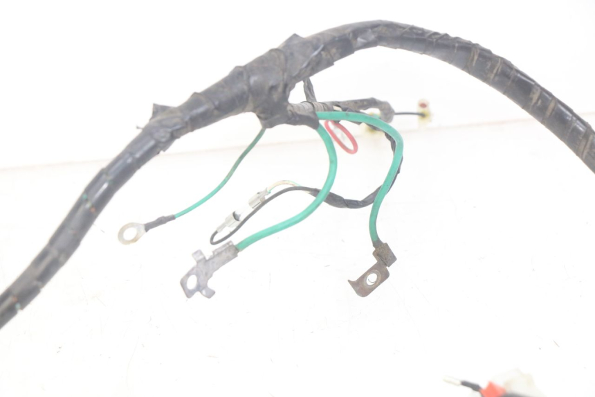 photo de WIRING HARNESS PEUGEOT TWEET 4T 50 (2010 - 2014)