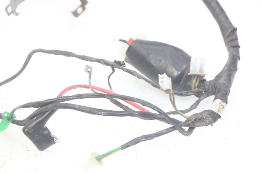 photo de WIRING HARNESS PEUGEOT TWEET 4T 50 (2010 - 2014)