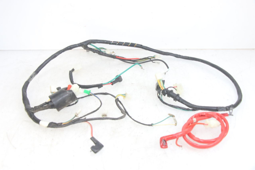 photo de WIRING HARNESS PEUGEOT TWEET 4T 50 (2014 - 2019)