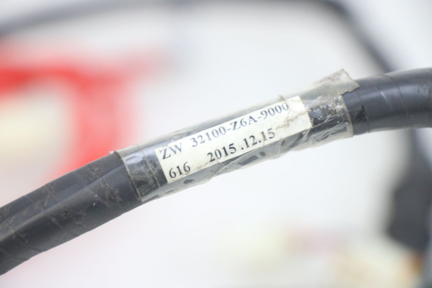 photo de WIRING HARNESS PEUGEOT TWEET 4T 50 (2014 - 2019)