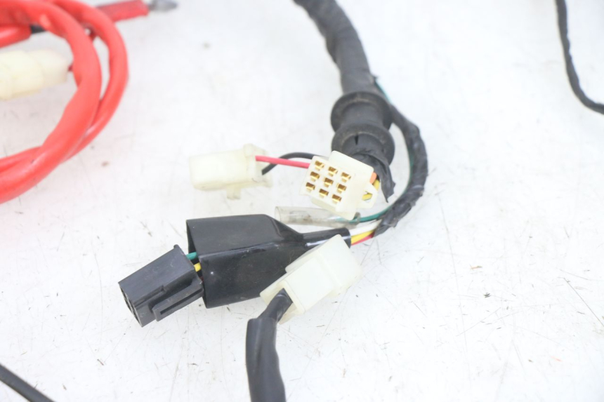 photo de WIRING HARNESS PEUGEOT TWEET 4T 50 (2014 - 2019)