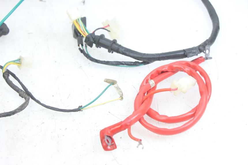 photo de WIRING HARNESS PEUGEOT TWEET 4T 50 (2014 - 2019)