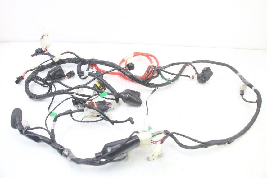 photo de WIRE HARNESS PEUGEOT TWEET 4T 50 (2023 - 2025)