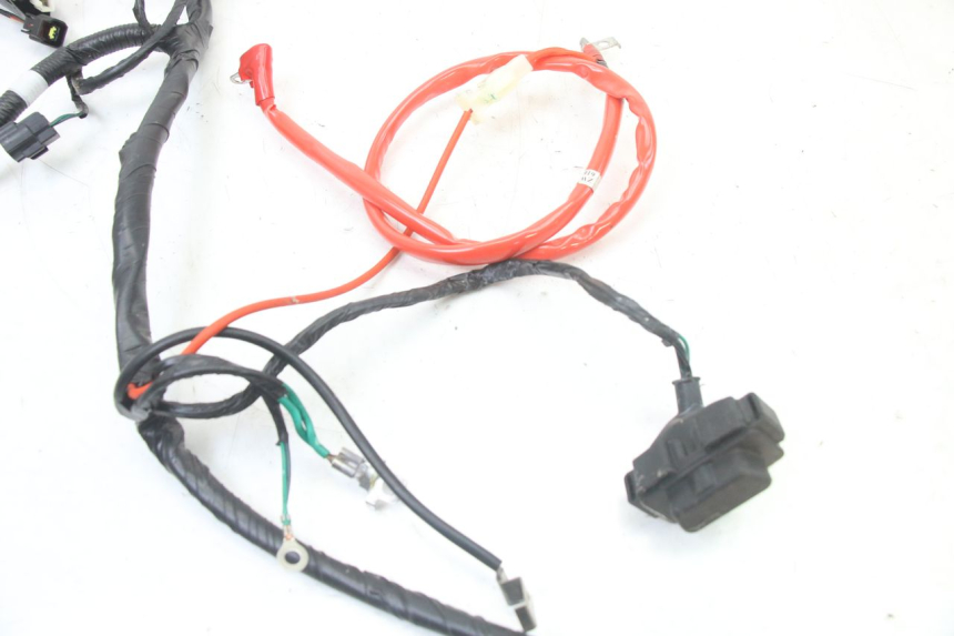 photo de WIRE HARNESS PEUGEOT TWEET 4T 50 (2023 - 2025)