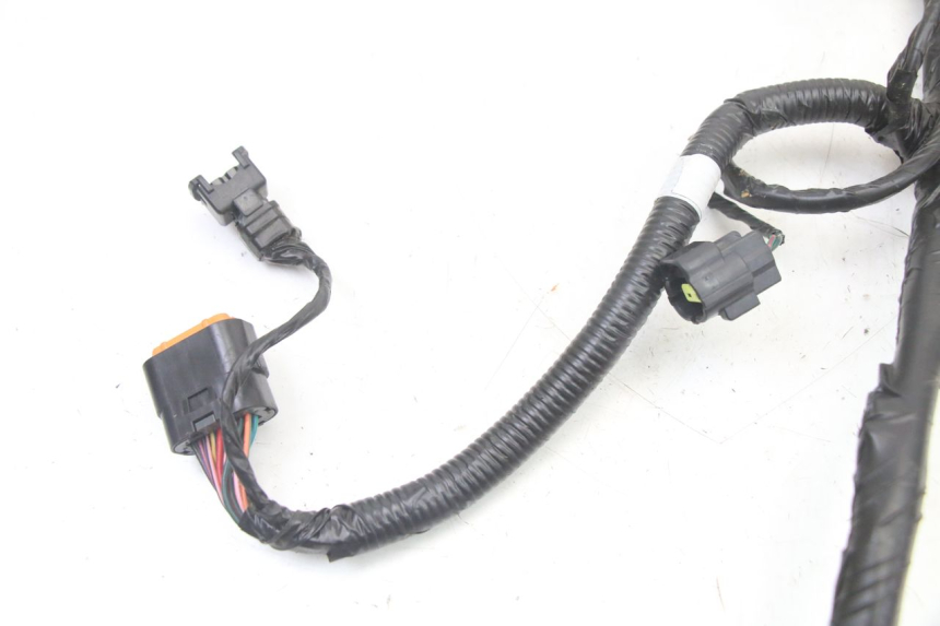 photo de WIRE HARNESS PEUGEOT TWEET 4T 50 (2023 - 2025)