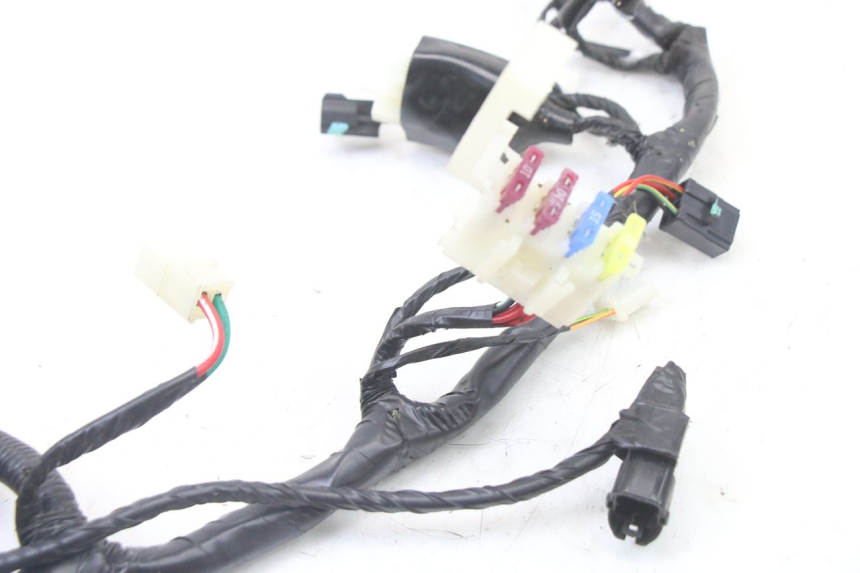 photo de WIRE HARNESS PEUGEOT TWEET 4T 50 (2023 - 2025)