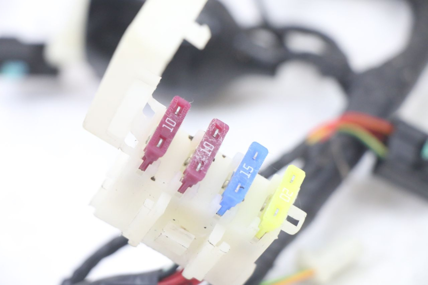 photo de WIRE HARNESS PEUGEOT TWEET 4T 50 (2023 - 2025)