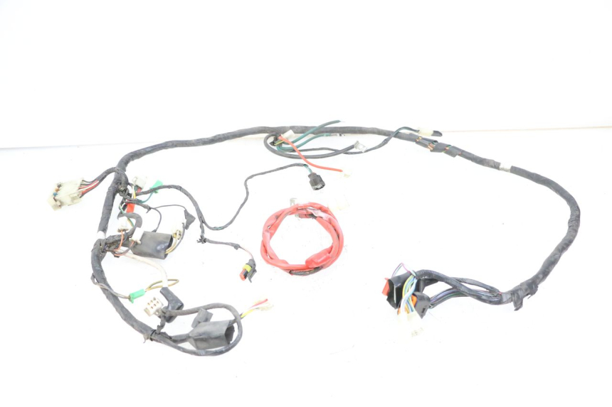 photo de WIRE HARNESS PEUGEOT TWEET 4T 50 (2018 - 2020)