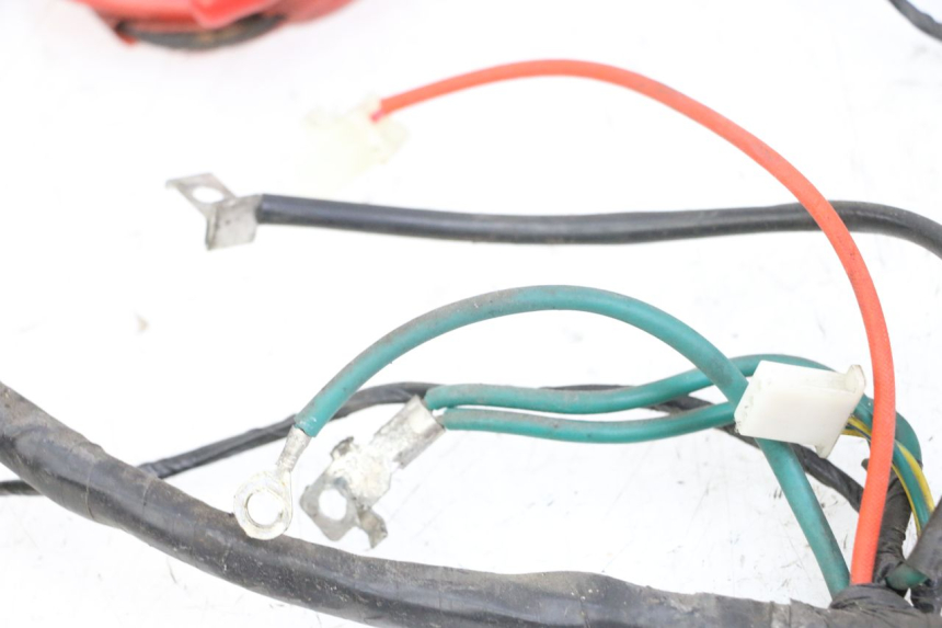 photo de WIRE HARNESS PEUGEOT TWEET 4T 50 (2018 - 2020)