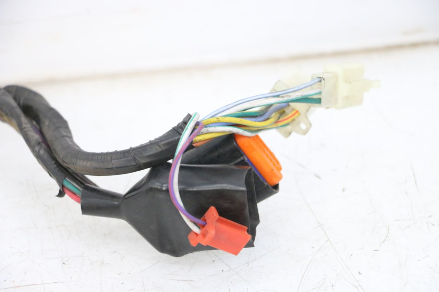 photo de WIRE HARNESS PEUGEOT TWEET 4T 50 (2018 - 2020)
