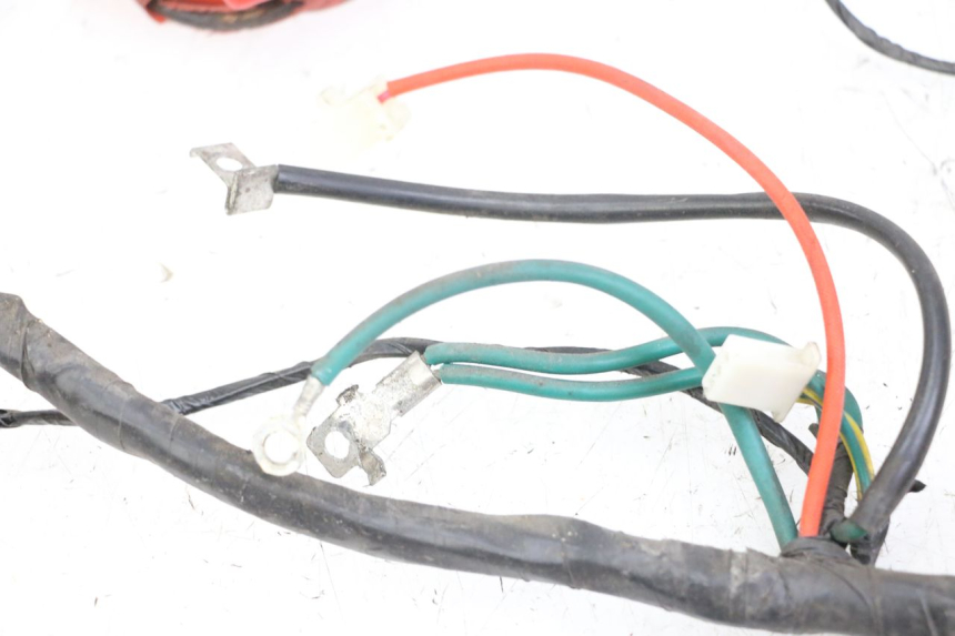 photo de WIRE HARNESS PEUGEOT TWEET 4T 50 (2018 - 2020)