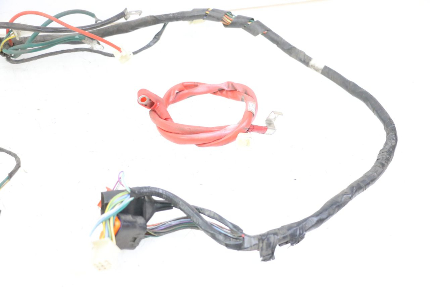photo de WIRE HARNESS PEUGEOT TWEET 4T 50 (2018 - 2020)
