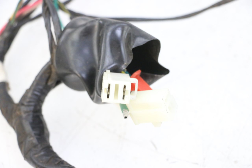 photo de WIRING HARNESS PEUGEOT TWEET 4T 50 (2014 - 2019)