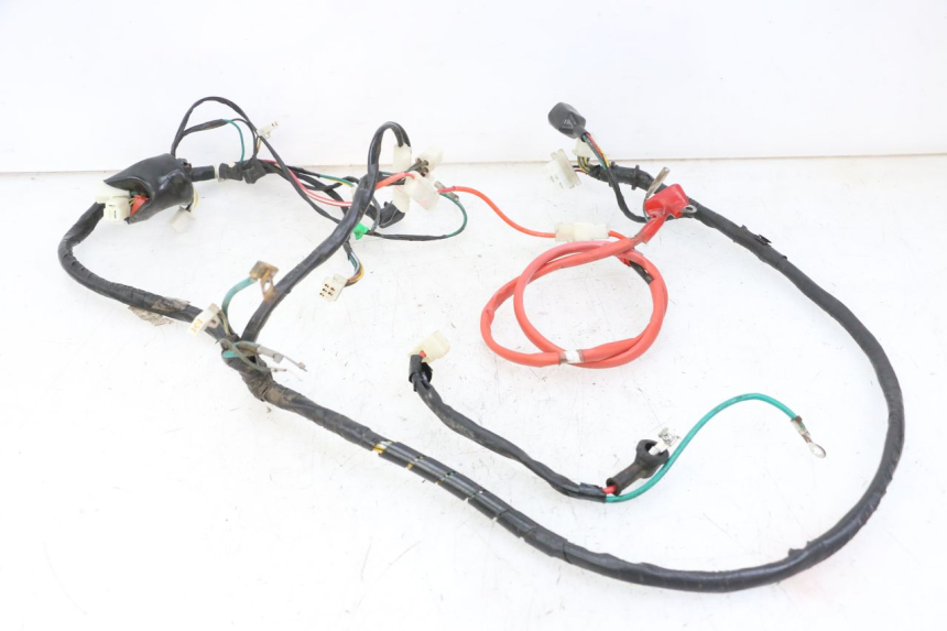 photo de WIRING HARNESS PEUGEOT TWEET 4T 50 (2014 - 2019)
