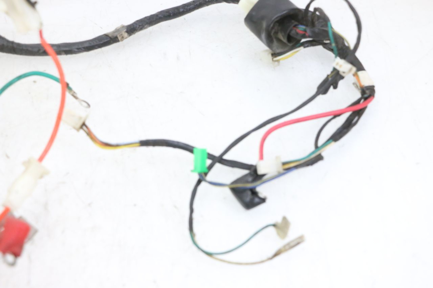 photo de WIRING HARNESS PEUGEOT TWEET 4T 50 (2014 - 2019)