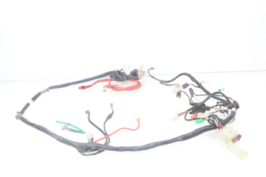 photo de WIRE HARNESS PEUGEOT TWEET ACTIVE 4T 50 (2018 - 2022)