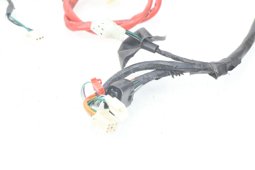 photo de WIRE HARNESS PEUGEOT TWEET ACTIVE 4T 50 (2018 - 2022)