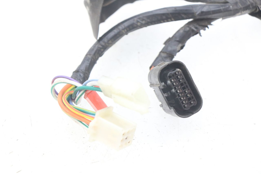 photo de WIRE HARNESS PEUGEOT TWEET ACTIVE 4T 50 (2018 - 2022)