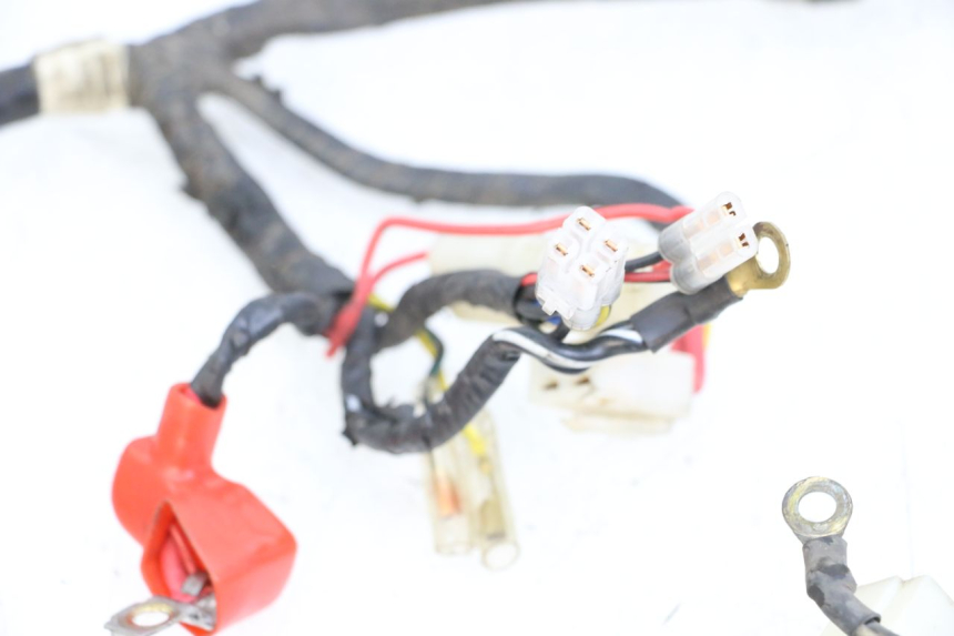 photo de WIRING HARNESS PEUGEOT V-CLIC VCLIC 50 (2007 - 2013)