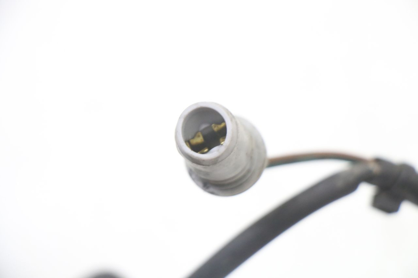 photo de HEADLIGHT WIRE HARNESS PEUGEOT ELYSTAR 50 (2002 - 2014)