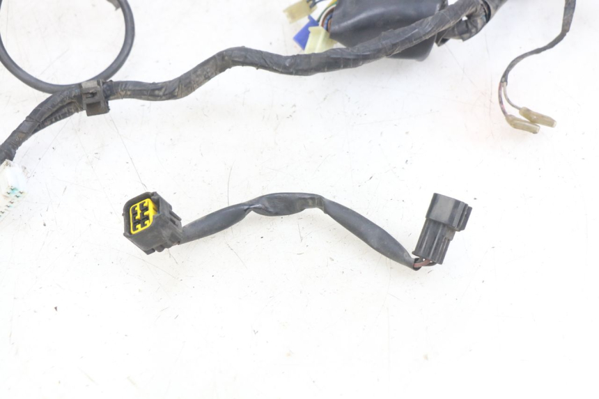 photo de HEADLIGHT HARNESS YAMAHA YZF R THUNDERCAT 600 (1996 - 2003)