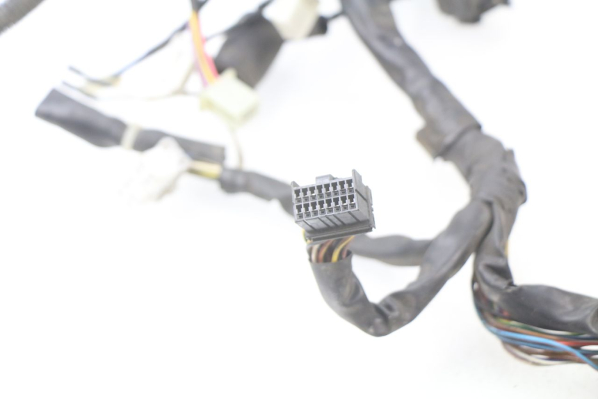 photo de WIRE HARNESS PIAGGIO BEVERLY 125 (2001 - 2004)