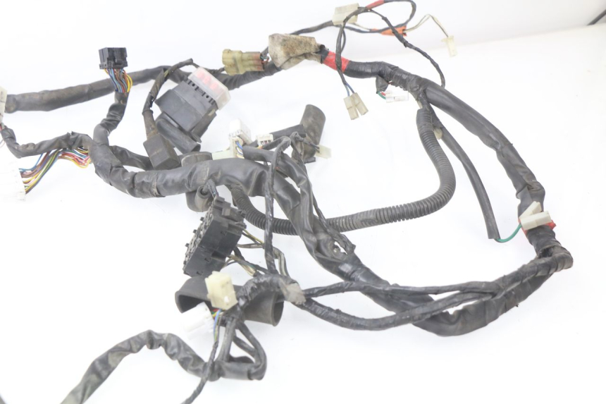 photo de WIRE HARNESS PIAGGIO BEVERLY 125 (2001 - 2004)