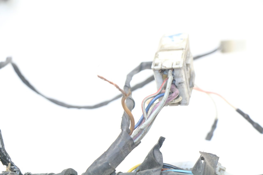 photo de WIRE HARNESS PIAGGIO BEVERLY 125 (2001 - 2004)