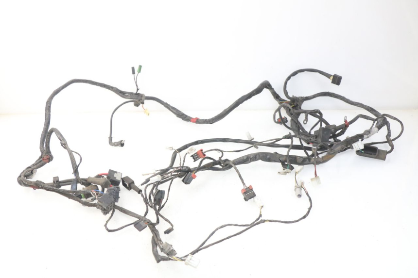 photo de WIRE HARNESS PIAGGIO CARNABY 125 (2007 - 2011)