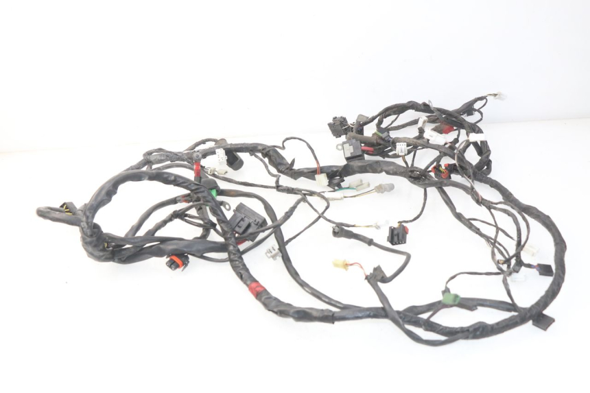 photo de WIRE HARNESS PIAGGIO CARNABY 125 (2007 - 2011)