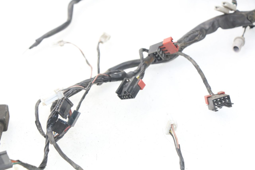 photo de WIRE HARNESS PIAGGIO CARNABY 125 (2007 - 2011)