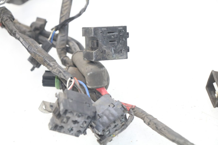 photo de WIRE HARNESS PIAGGIO CARNABY 125 (2007 - 2011)