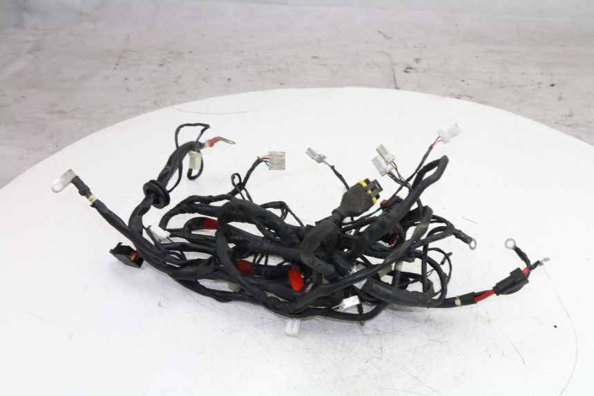 photo de WIRE HARNESS PIAGGIO FLY 4T 50 (2004 - 2010)