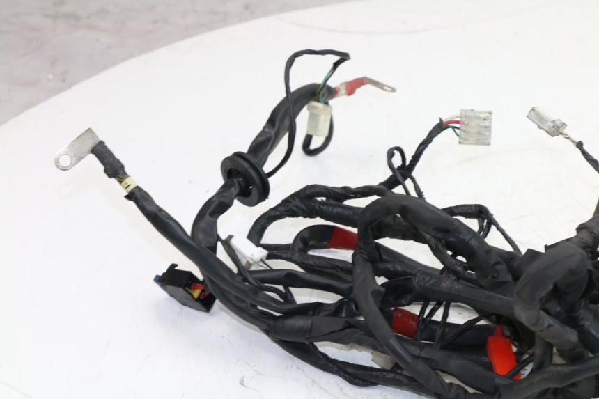 photo de WIRE HARNESS PIAGGIO FLY 4T 50 (2004 - 2010)