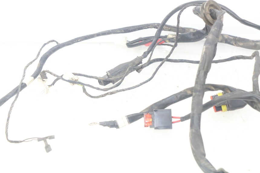 photo de WIRING HARNESS PIAGGIO FLY 100 (2006 - 2010)