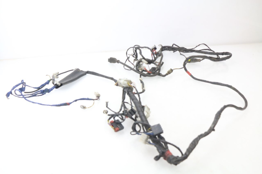 photo de WIRE HARNESS PIAGGIO LIBERTY 2T 50 (2004 - 2008)