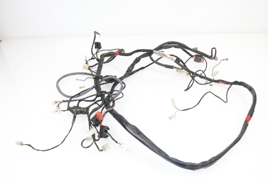 photo de WIRE HARNESS PIAGGIO LIBERTY 4T 50 (2009 - 2015)