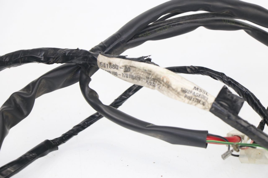 photo de WIRE HARNESS PIAGGIO LIBERTY 4T 50 (2009 - 2015)