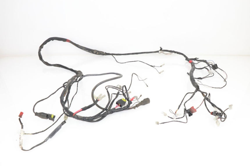 photo de WIRE HARNESS PIAGGIO LIBERTY 4T 50 (2009 - 2015)