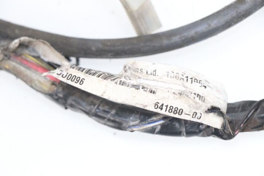 photo de WIRE HARNESS PIAGGIO LIBERTY 4T 50 (2009 - 2015)