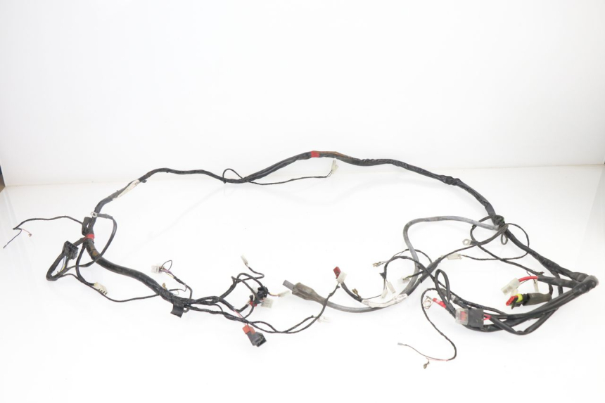 photo de WIRE HARNESS PIAGGIO LIBERTY 4T 50 (2009 - 2015)