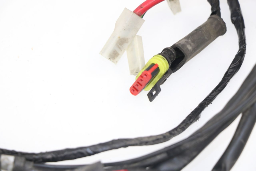 photo de WIRE HARNESS PIAGGIO LIBERTY 4T 50 (2009 - 2015)