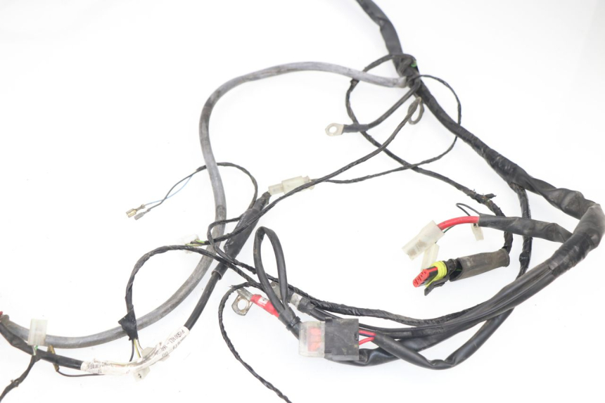 photo de WIRE HARNESS PIAGGIO LIBERTY 4T 50 (2009 - 2015)