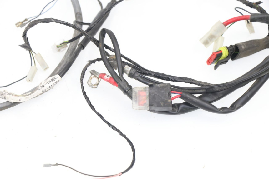 photo de WIRE HARNESS PIAGGIO LIBERTY 4T 50 (2009 - 2015)