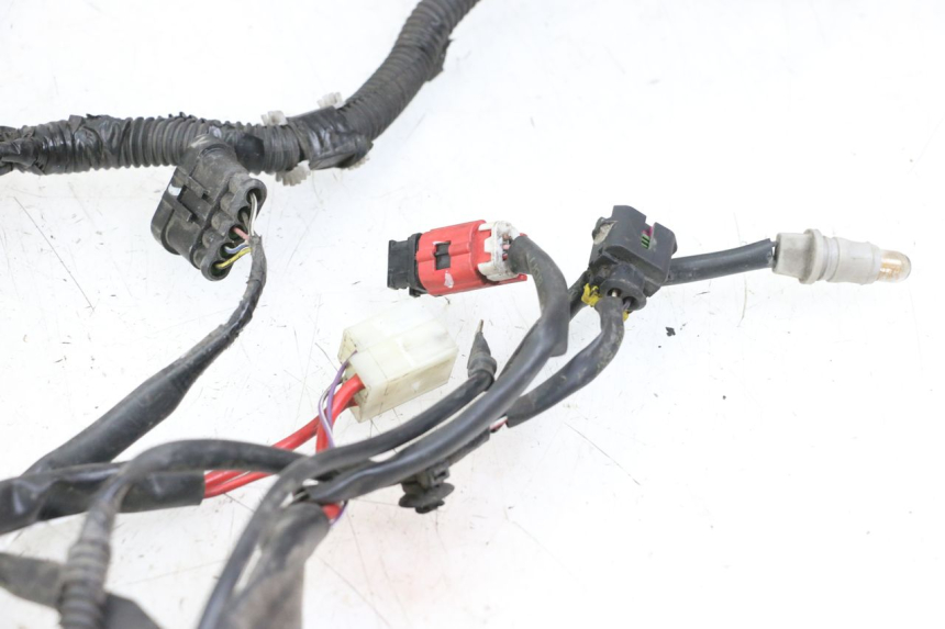 photo de WIRE HARNESS PIAGGIO LIBERTY IGET 4T 50 (2021 - 2025)