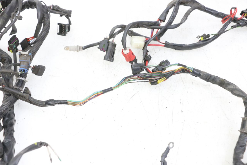 photo de WIRE HARNESS PIAGGIO LIBERTY IGET 4T 50 (2021 - 2025)