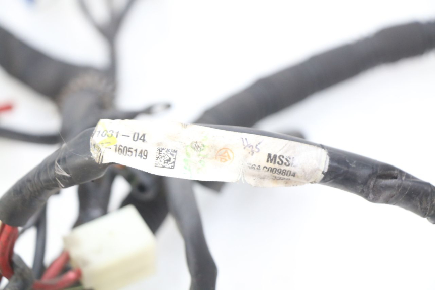 photo de WIRING HARNESS PIAGGIO LIBERTY IGET S 125 (2016 - 2020)