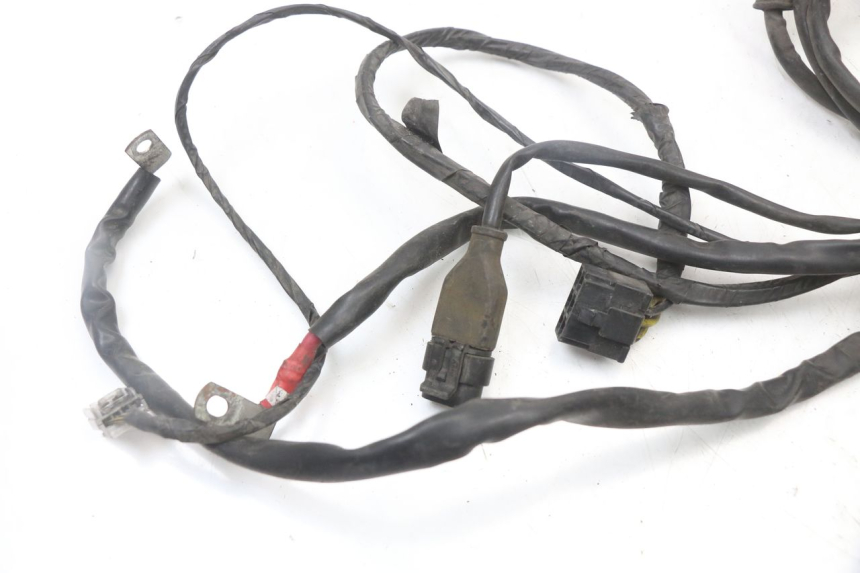 photo de WIRE HARNESS PIAGGIO MP3 125 (2006 - 2014)